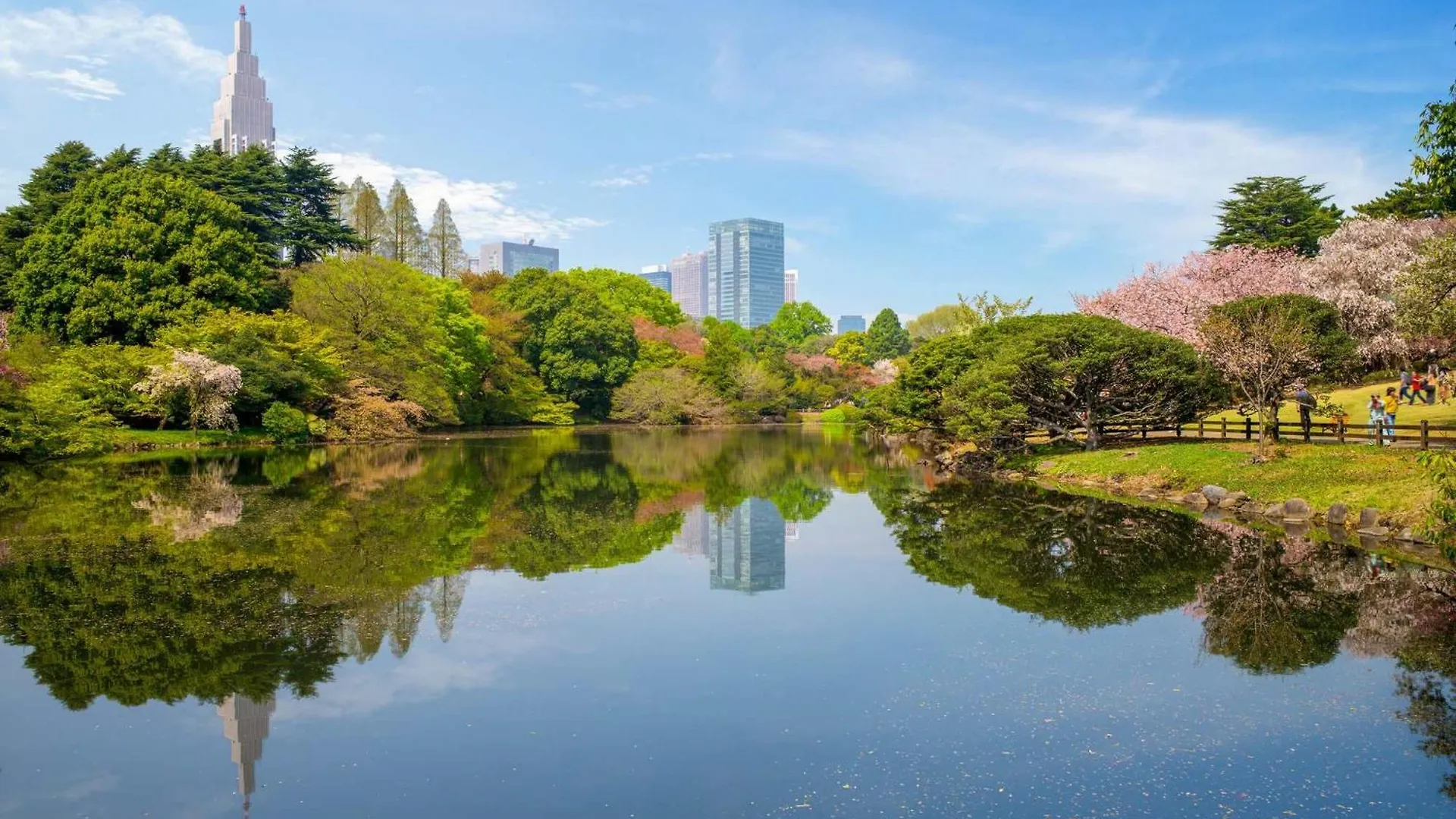 西新宿エリア Tokyo 0*,  Japan