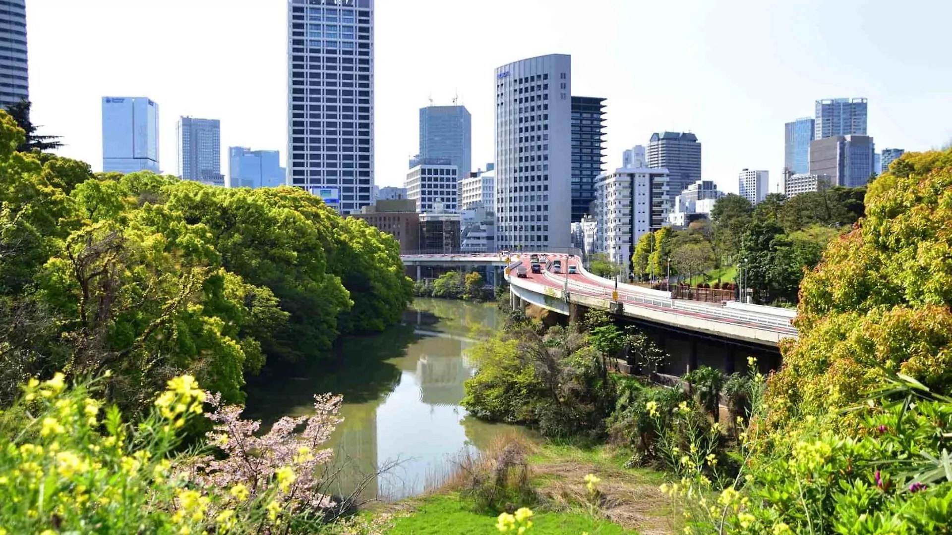 西新宿エリア Tokyo Apartment