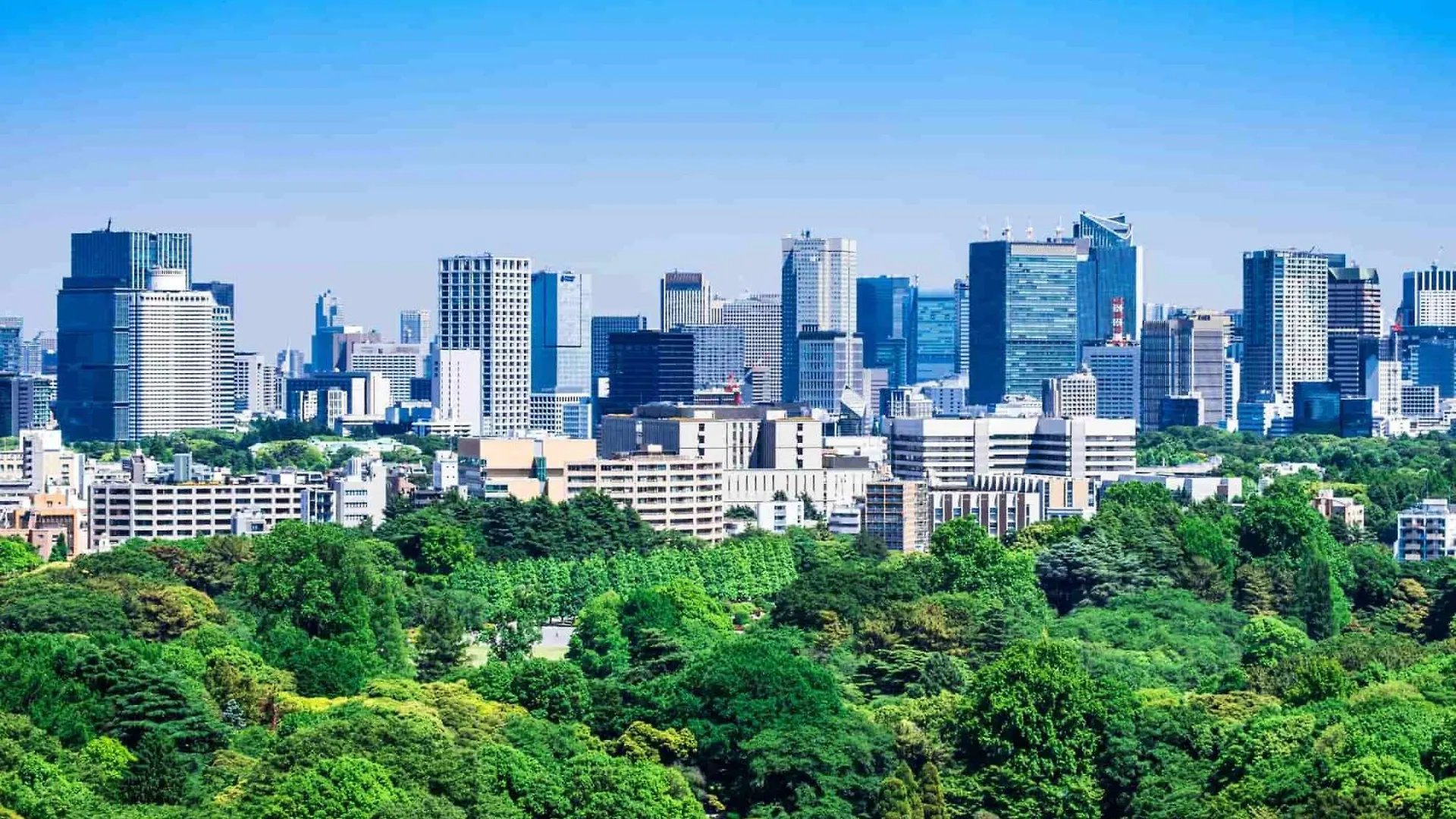 西新宿エリア Tokyo Japan